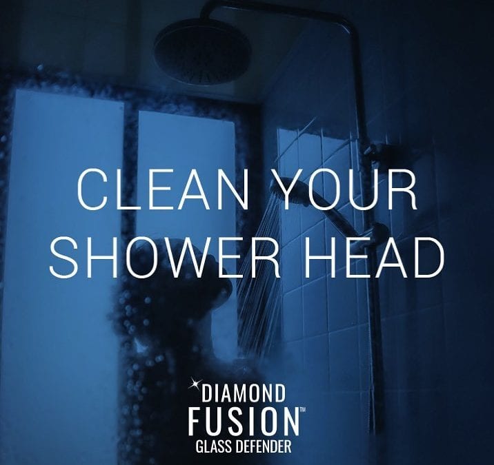 Why you should clean your shower head